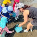 개화펜션 이미지