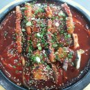 바다장어 이미지