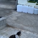 천하해천탕 | 동해 여행객의 로컬 맛집 홍대포 해천탕과 사장님의 맛집 추천 리스트