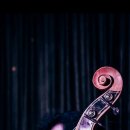 어머나게임즈 이미지