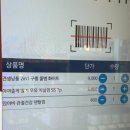 견생냥품무인24시경기