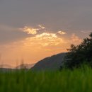 아이미래유치원 이미지