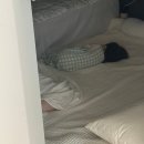 마포식육식당 | 개놀자