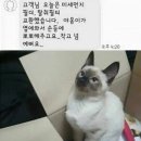 샴