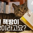 동네커피책방 이미지