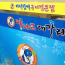 아나고대가리
