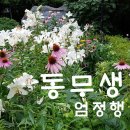 제276회:불암산철축제기(불암산.'25.4.27.일) 이미지