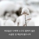 비상청춘 이미지