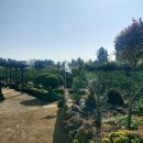 하천리-9 이미지