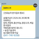 녹즙용 케일, 양파 판매해요. 이미지