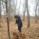 건희농장 네이버블로그