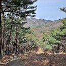 진밭골산림욕장 | 대구 수성구 감태봉 (진밭골~산림욕장~만보정~욱수정~감태봉~진밭골, 원점회귀산행) 2022.03.27.