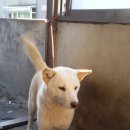 은옥 이미지