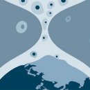 화석 2002 이미지