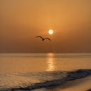 즉석김밥(태장2호점) | 2025 1129-30 강릉 1박 2일:ktx/뚜벅이