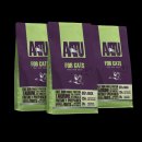 요세라코리아 이미지