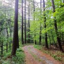 당산못공원 이미지