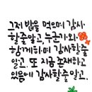태권도움직임연구소