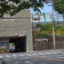 주식회사 디자인랜드(3종) | 2026 쉬엄쉬엄 한강 3종 대회 중급 솔플 후기(근데 이제 딱히 쉴 틈이 없었던)