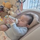 신생아용품, 소품 NEW | 올인원 하이체어 레모 4 in 1 7개월 사용후기, 신생아부터 이유식까지 내돈내산 정착템 (ft. 뉴본 꿀팁)