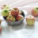 선홍농장 이미지