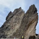 태성렌트카 이미지