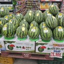 성동할인마트 이미지