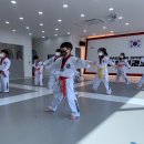 프리미어 스포츠 송정태권도 이미지