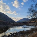 자연펜션캠핑장 이미지