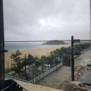 송지호모네블루펜션