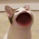 인온 네이버블로그