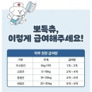핫펫