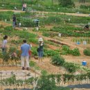 가족농장 이미지