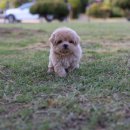 미스터브리더 이미지