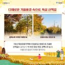 한강 산책 이미지