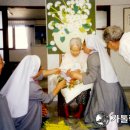 천주섭리수녀회 이미지