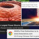 CW-2301-01 이미지