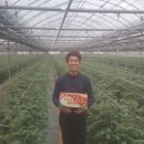 기찬농장 이미지