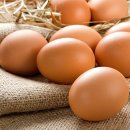 영인원예 이미지