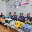 자봉도 남도방송