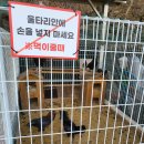 산들염소농장 이미지