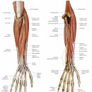 바른몸힘한의원 이미지