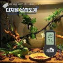 지안상점