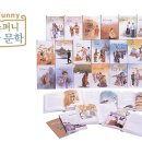 문학해설 체험 이미지