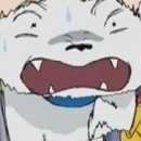 주식회사 수원상용서비 | 수원 반려동물 동반 카페 이음｜토끼랑 다녀온 솔직후기 🐰