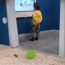 대전 어린이회관 체험숲 세종 근교 6살 아이랑 갈만한 곳