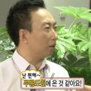 윤헤어짱