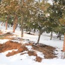 지성병원 이미지