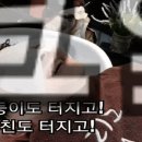 깡아지미용실 네이버블로그