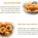 조흥농장 네이버블로그